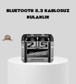 Gürültü Engelleyici Kablosuz Bluetooth Kulaklık – Oyun ve Müzik İçin Profesyonel Ses - Lisinya