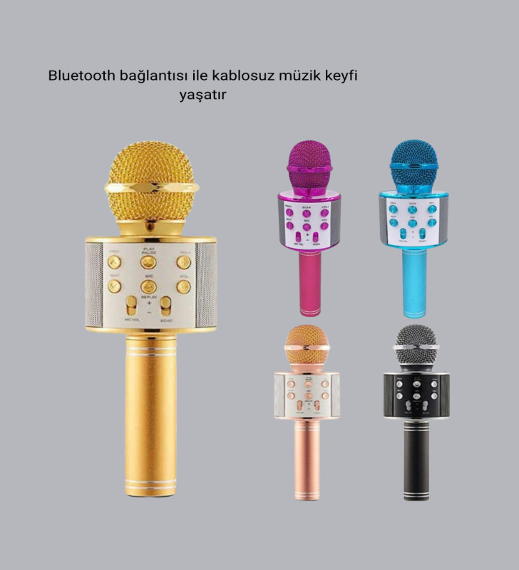Taşınabilir Karaoke Mikrofon – Bluetooth, USB ve AUX Girişli - Lisinya