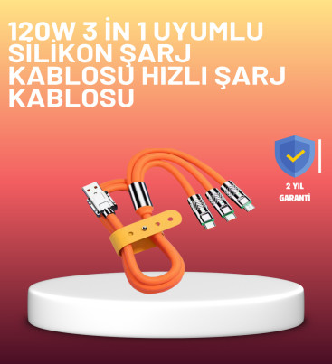 Çinko Alaşımlı Uçlu 120 W Şarj Kablosu – Dolaşmaya Dayanıklı 1,2 m USB Kablo - Lisinya