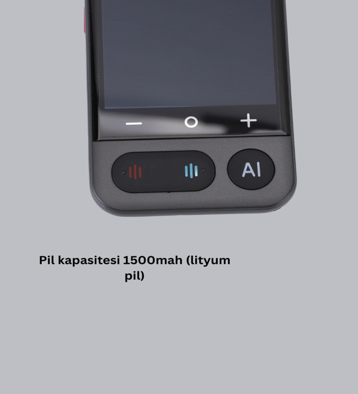 Sesli Çeviri Cihazı - Lisinya