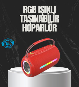 20W Güçlü Ses Çift Sürücülü RGB LED Işıklı Bluetooth 5.3 Hoparlör - Lisinya