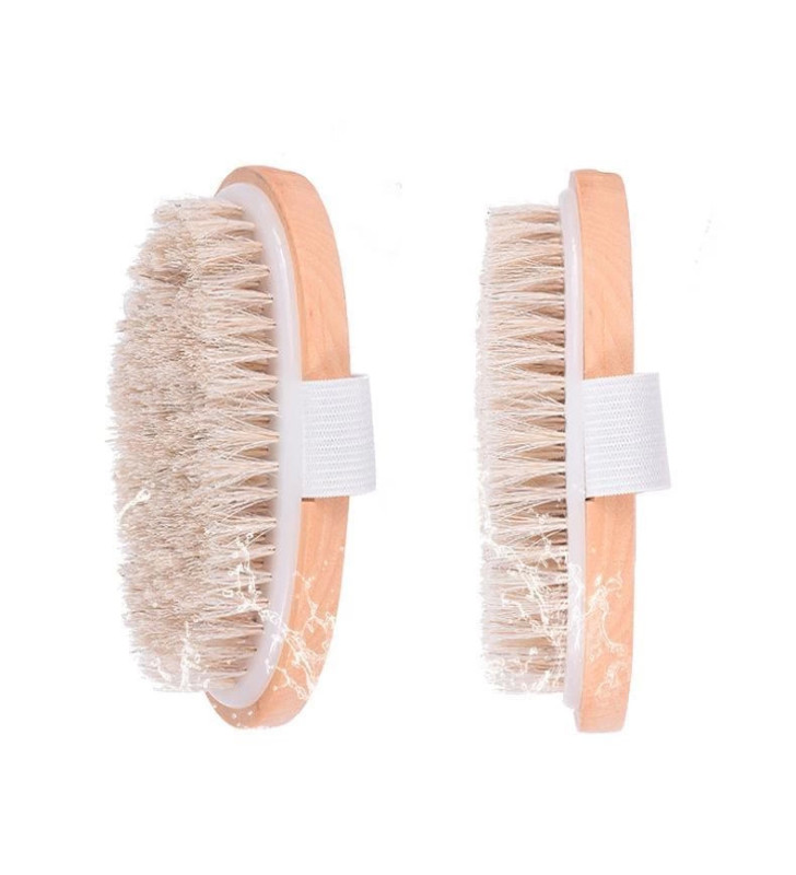 Parlak ve Pürüzsüz Görünüm Sağlayan %100 Doğal At Kılı Selülit Fırçası (oval)