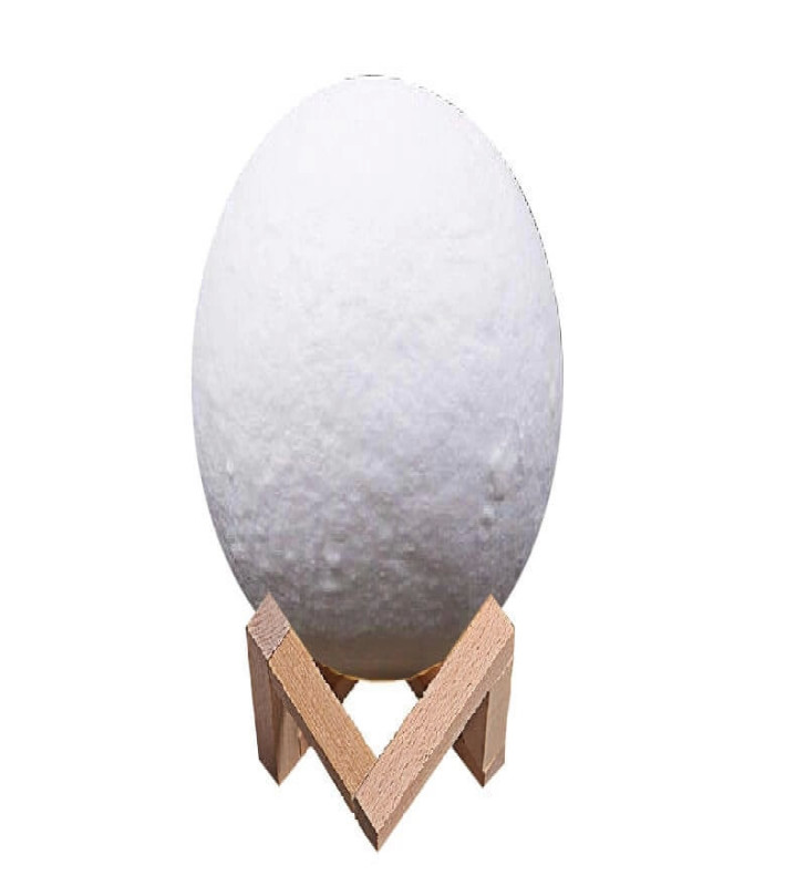 Dekoratif Yerküre 15cm Pilli Lamba ( Lisinya )