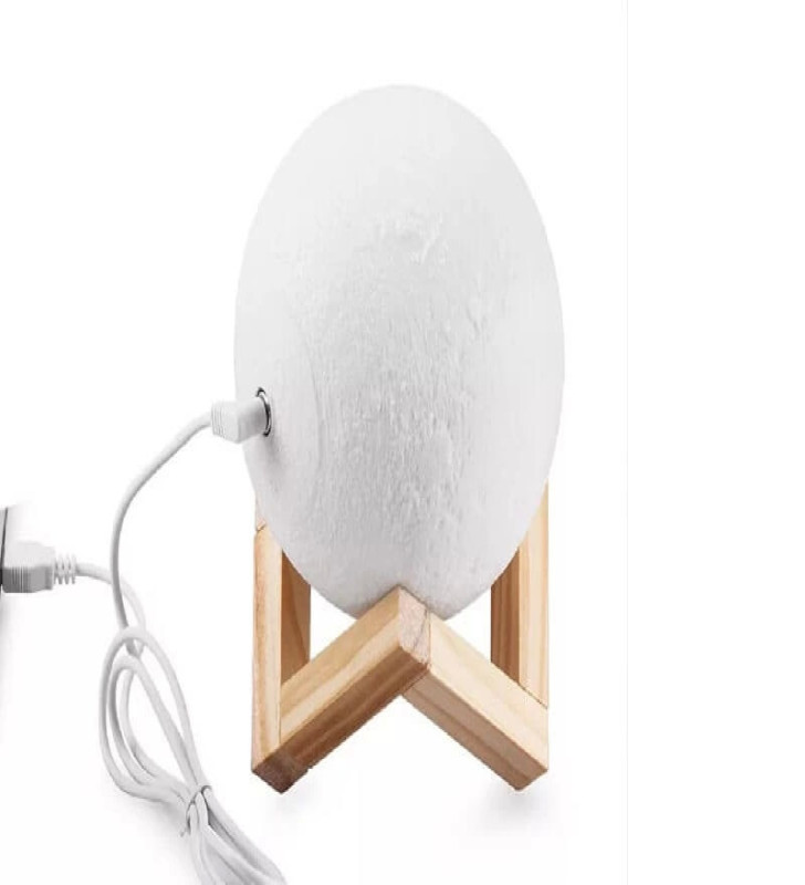 Dekoratif Yerküre 15cm Pilli Lamba ( Lisinya )