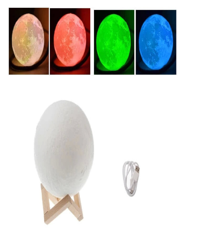 Dekoratif Yerküre 15cm Pilli Lamba ( Lisinya )