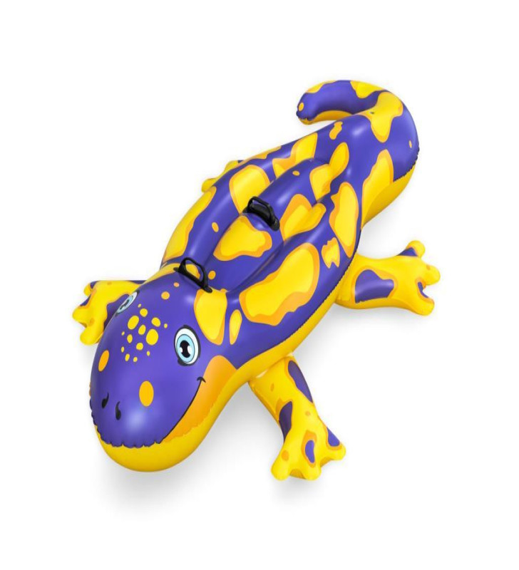 41502 - KERTENKELE BİNİCİ 191 X 119 CM (Lisinya)