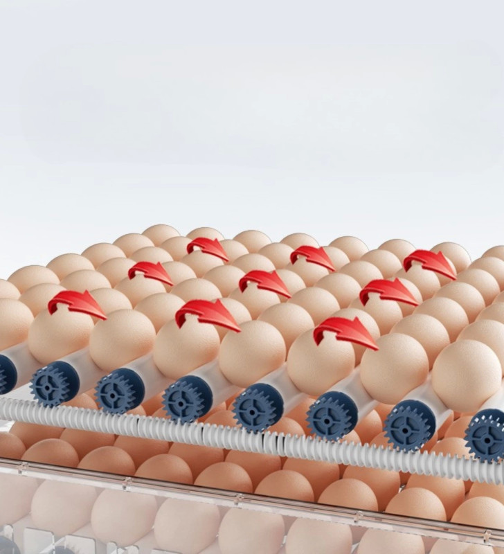 60 Yumurta Kapasiteli Tam Otomatik Kuluçka Makinesi - Civciv, Kaz, Hindi ve Ördek Yetiştiriciliği Epo-W60 ( Lisinya )